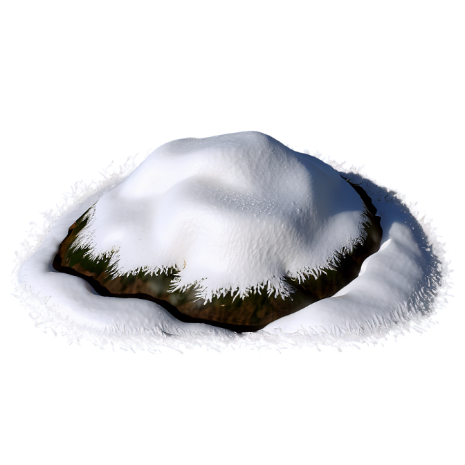 a snow covered rock with trees in the background
