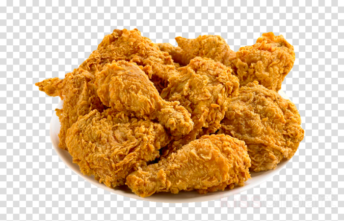a plate of fried chicken on a white background