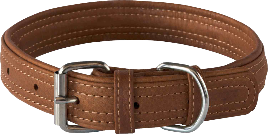 a brown leather dog collar with a metal buckle