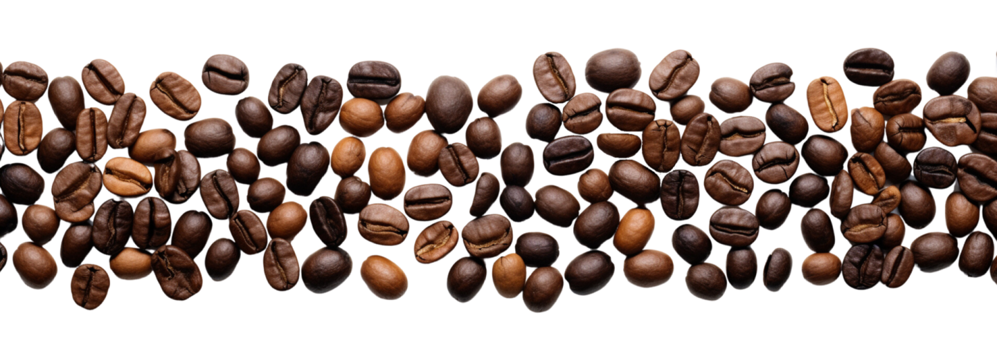 coffee beans on a white background