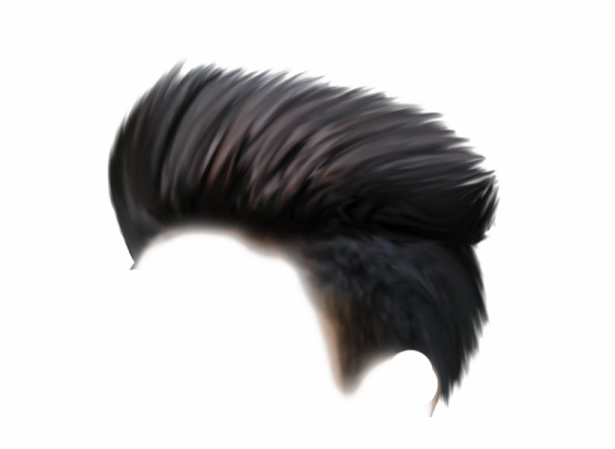 a black feather on a white background