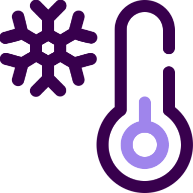 a thermometer and a snowflorer