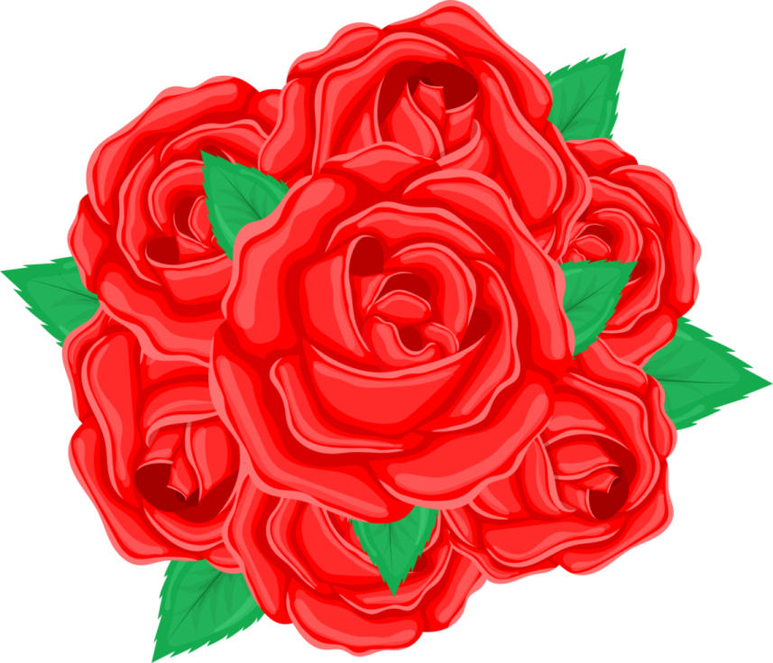 a bunch of red roses