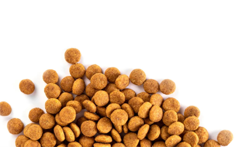 a pile of peanuts on a white background