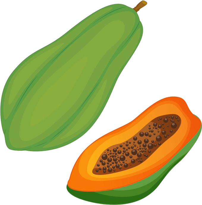 two papas on a white background