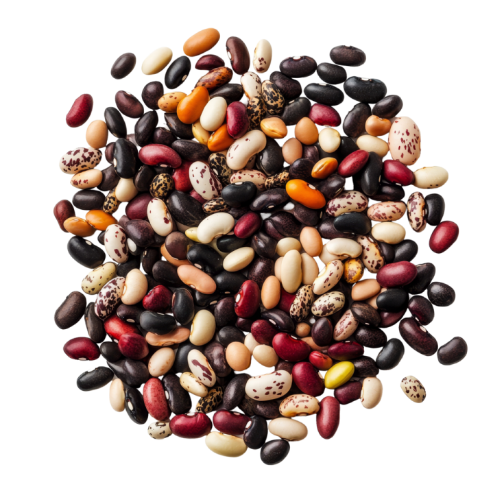 a pile of beans and beans