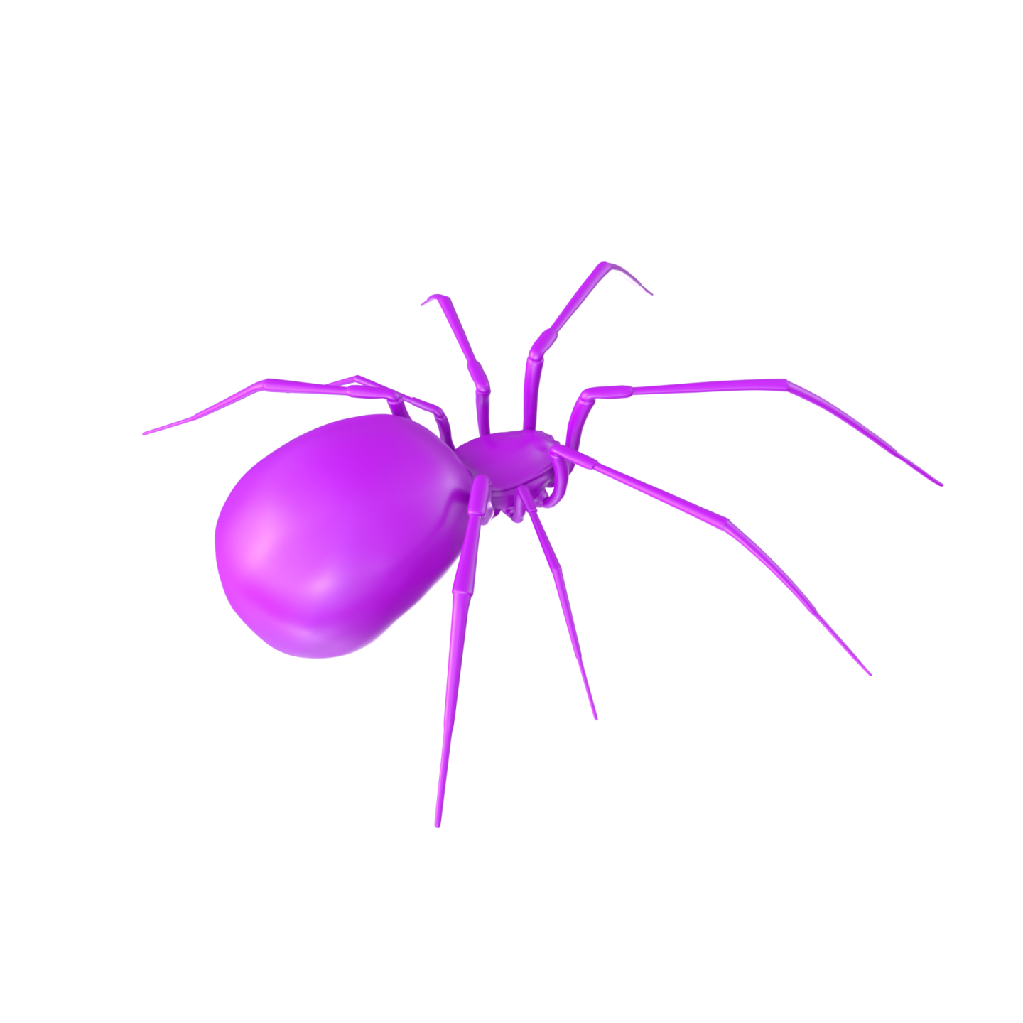 a purple spider on a white background