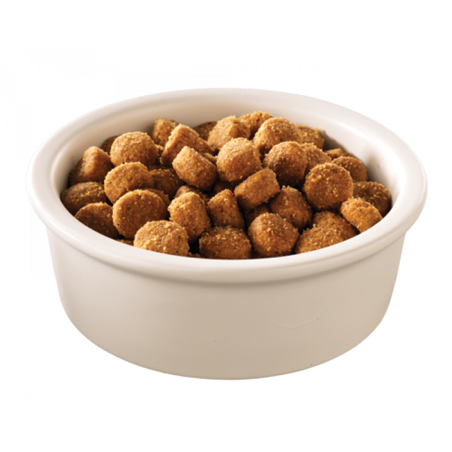 a white bowl filled with chicken nus