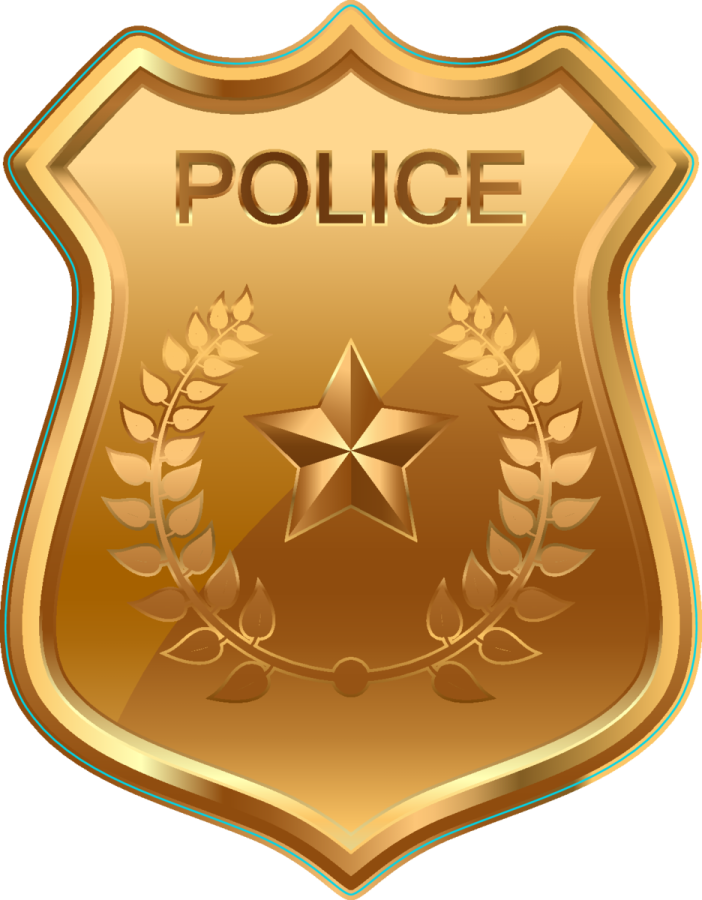 a badge with the word police on it