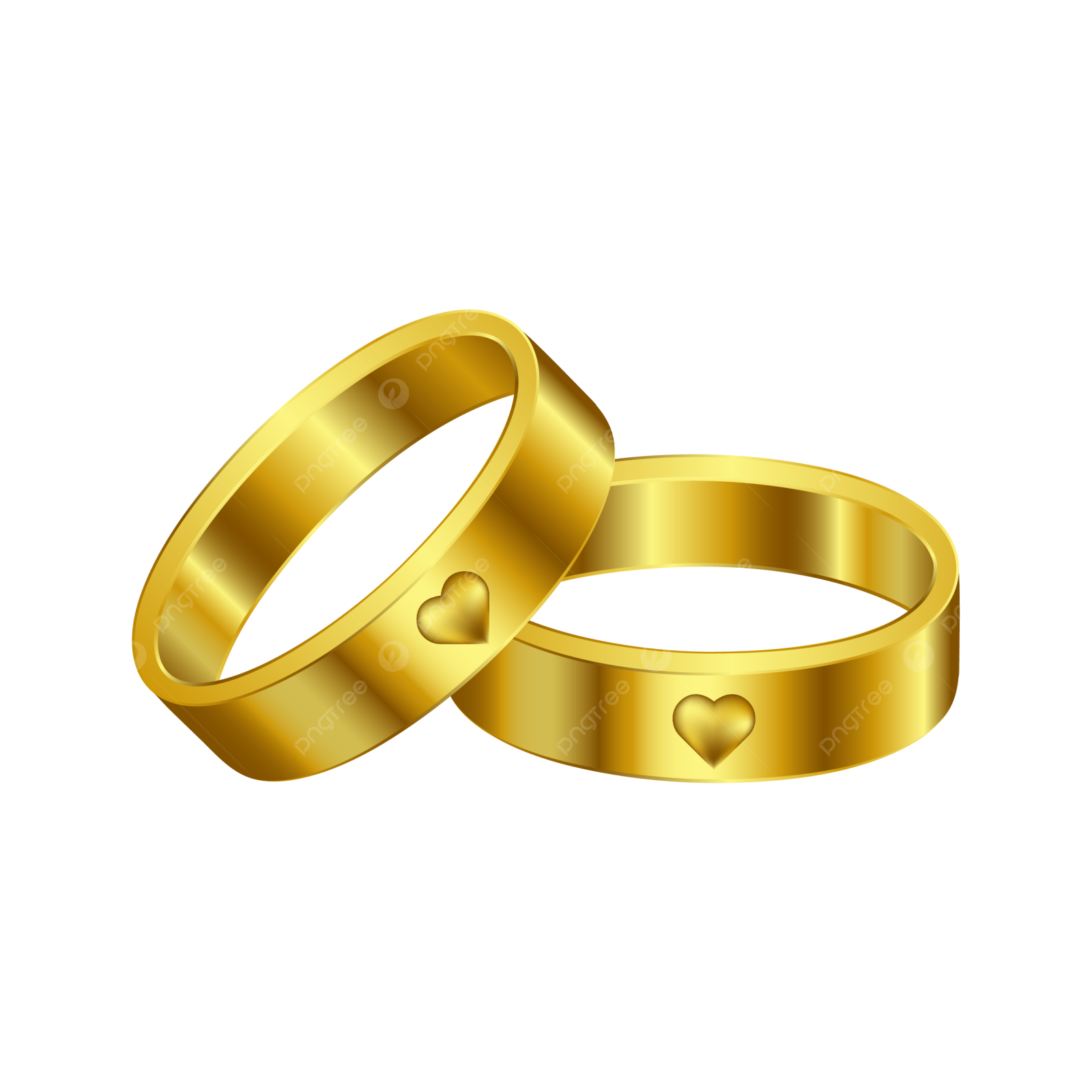 two gold wedding rings on a white background