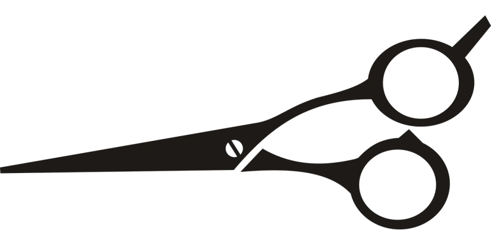a pair of scissors on a white background