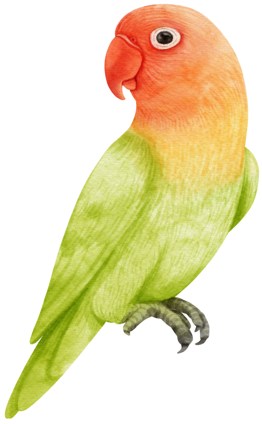 a watercolor painting of a parrot