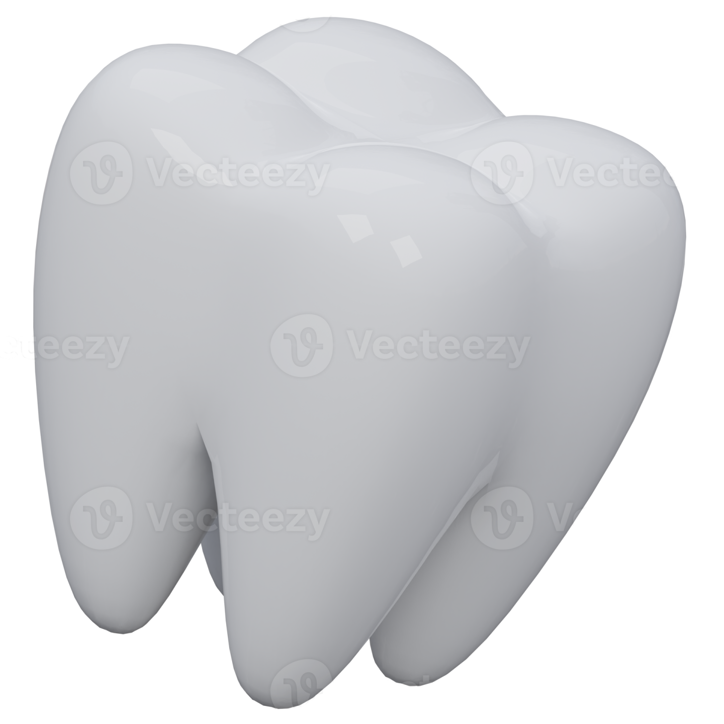 a tooth on a white background