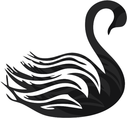a black swan on a white background