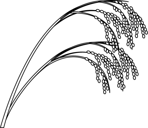 a black and white drawing of a bunch of flowers