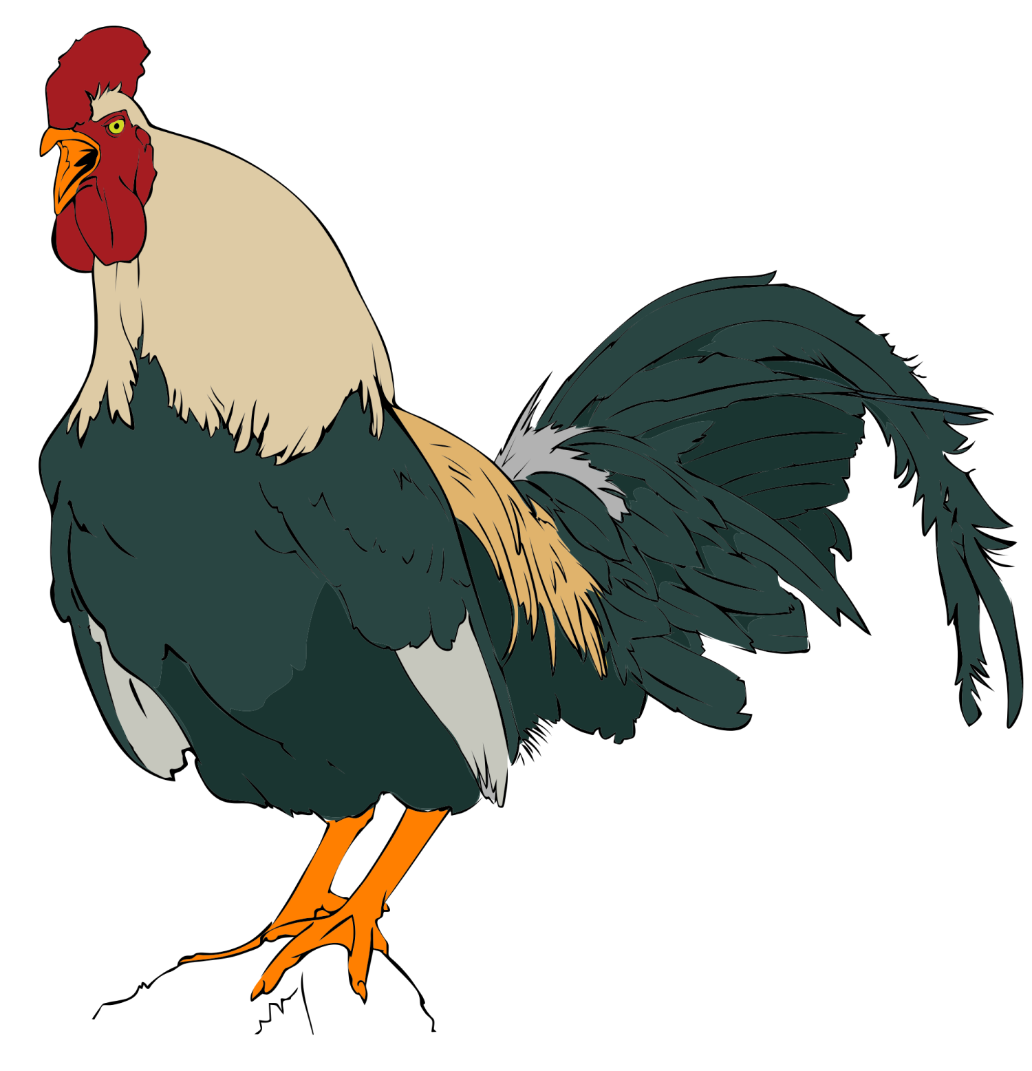 a rooster standing on its hinds