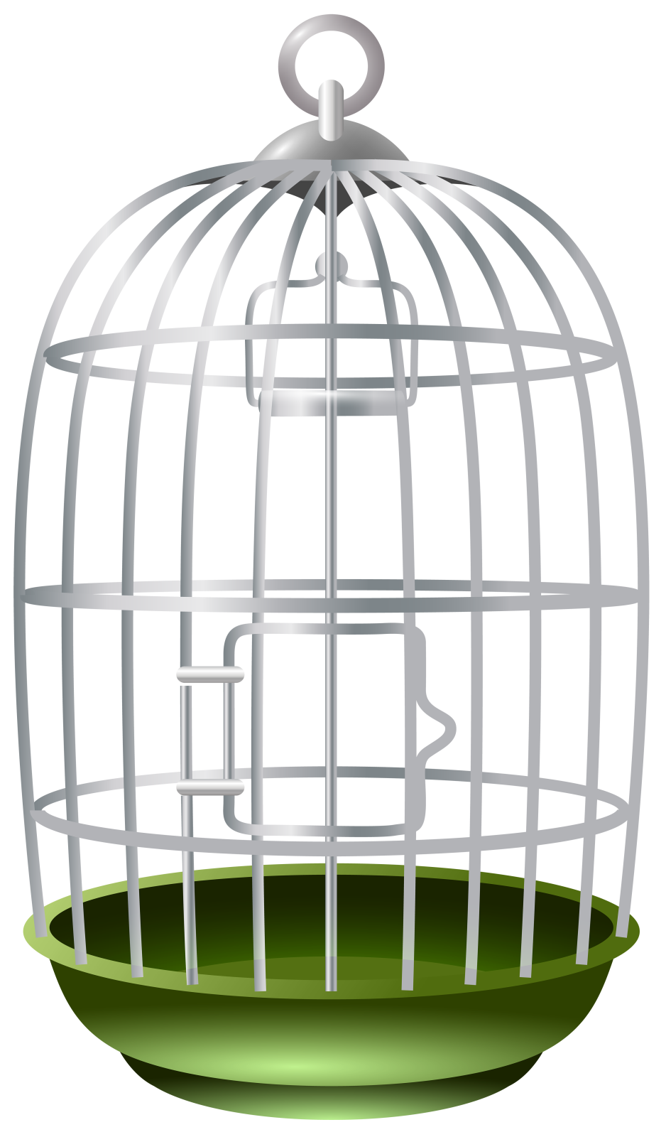 a bird in a cage