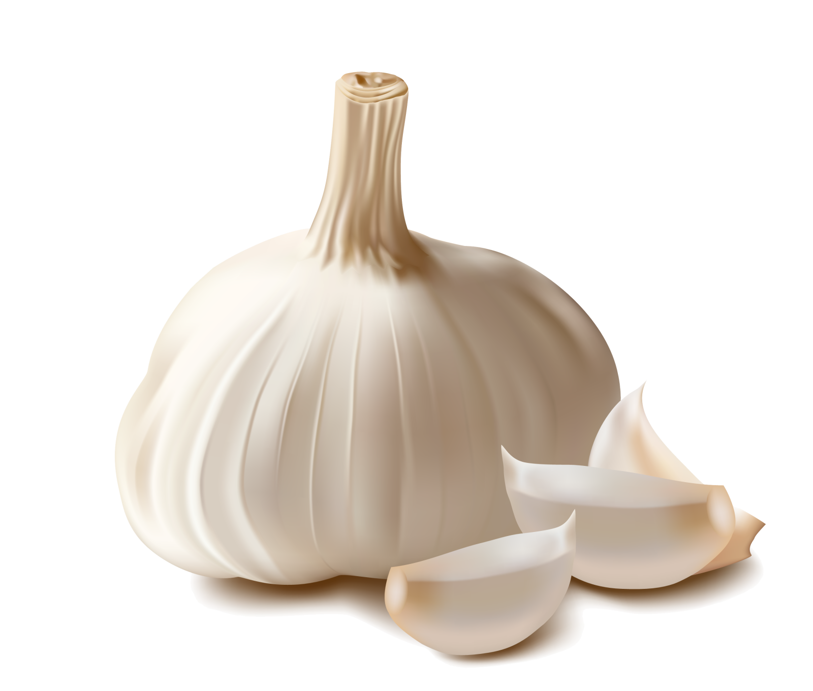 a white garlic and two pieces of garlic