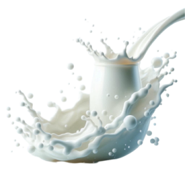 a splash of milk on a white background