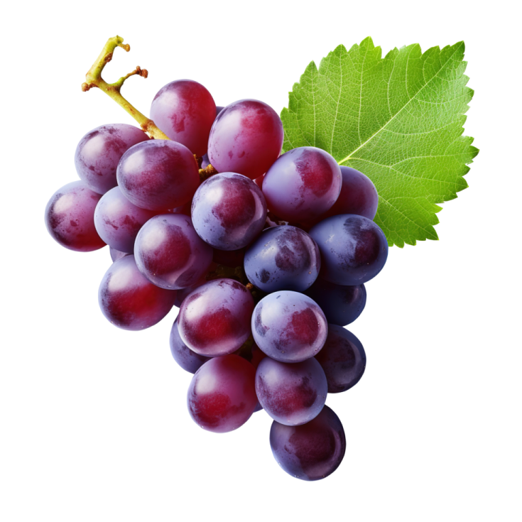 a bunch of grapes on a white background