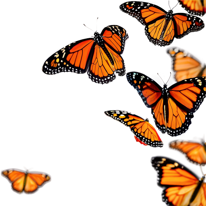 a group of orange butterflies flying in the air