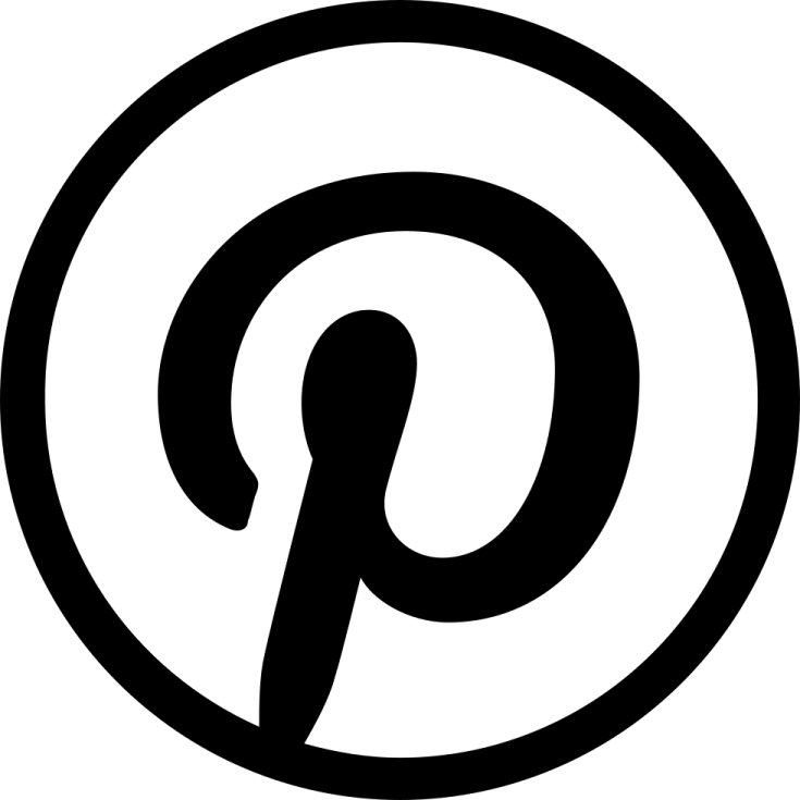 a black and white image of a pin icon