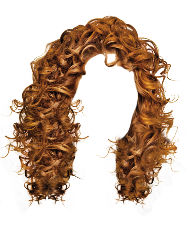 a curly wig on a white background