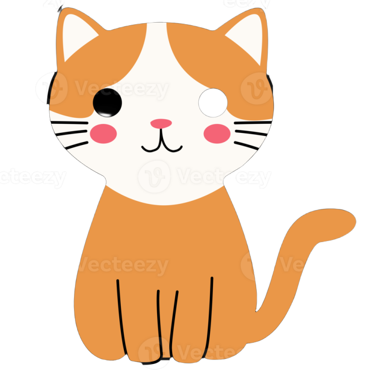 an orange and white cat with black eyes