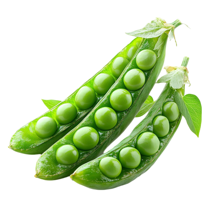 green peas on white background