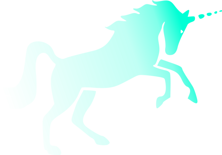 a silhouette of a horse with a long mane