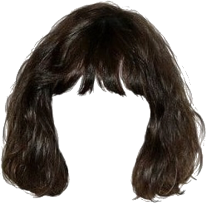 a wig with long brown hair and bangs
