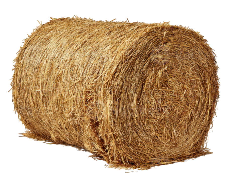 a roll of hay on white background