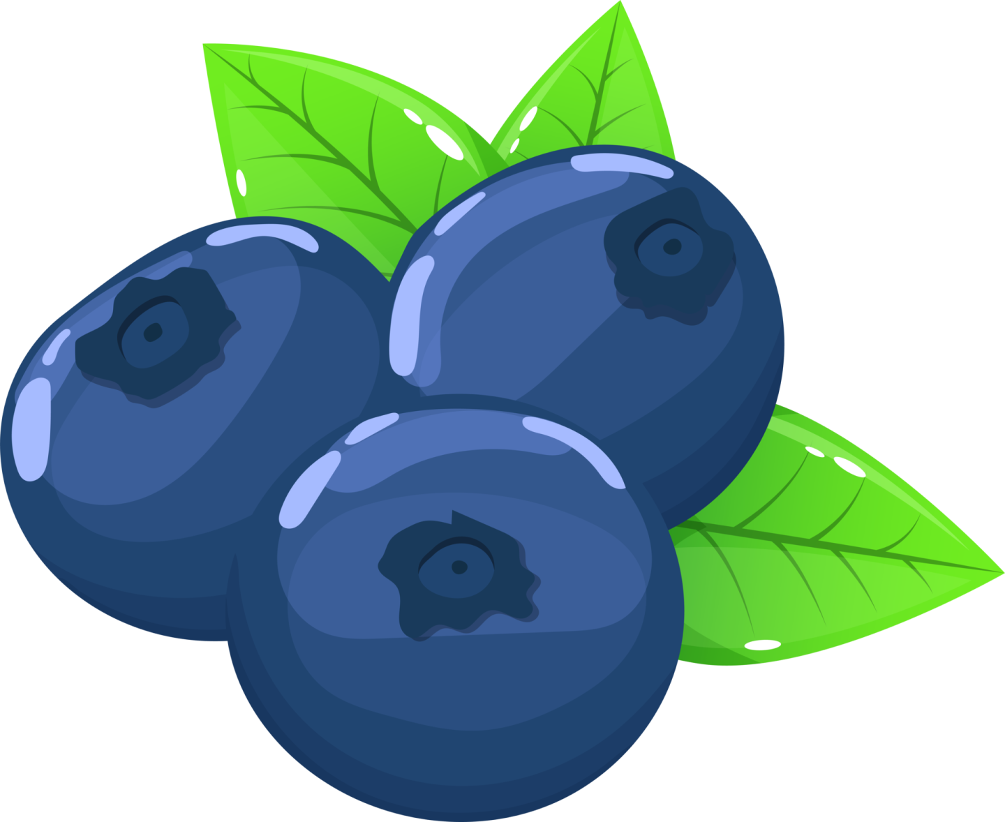 a bunch of blueberries with leaves
