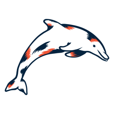 a dolphin jumping out of the water