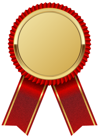 a gold medal with red ribbon
