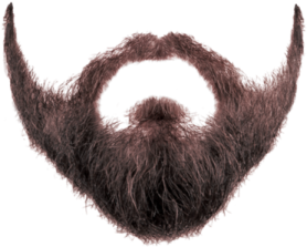 a man's beard with long brown hair