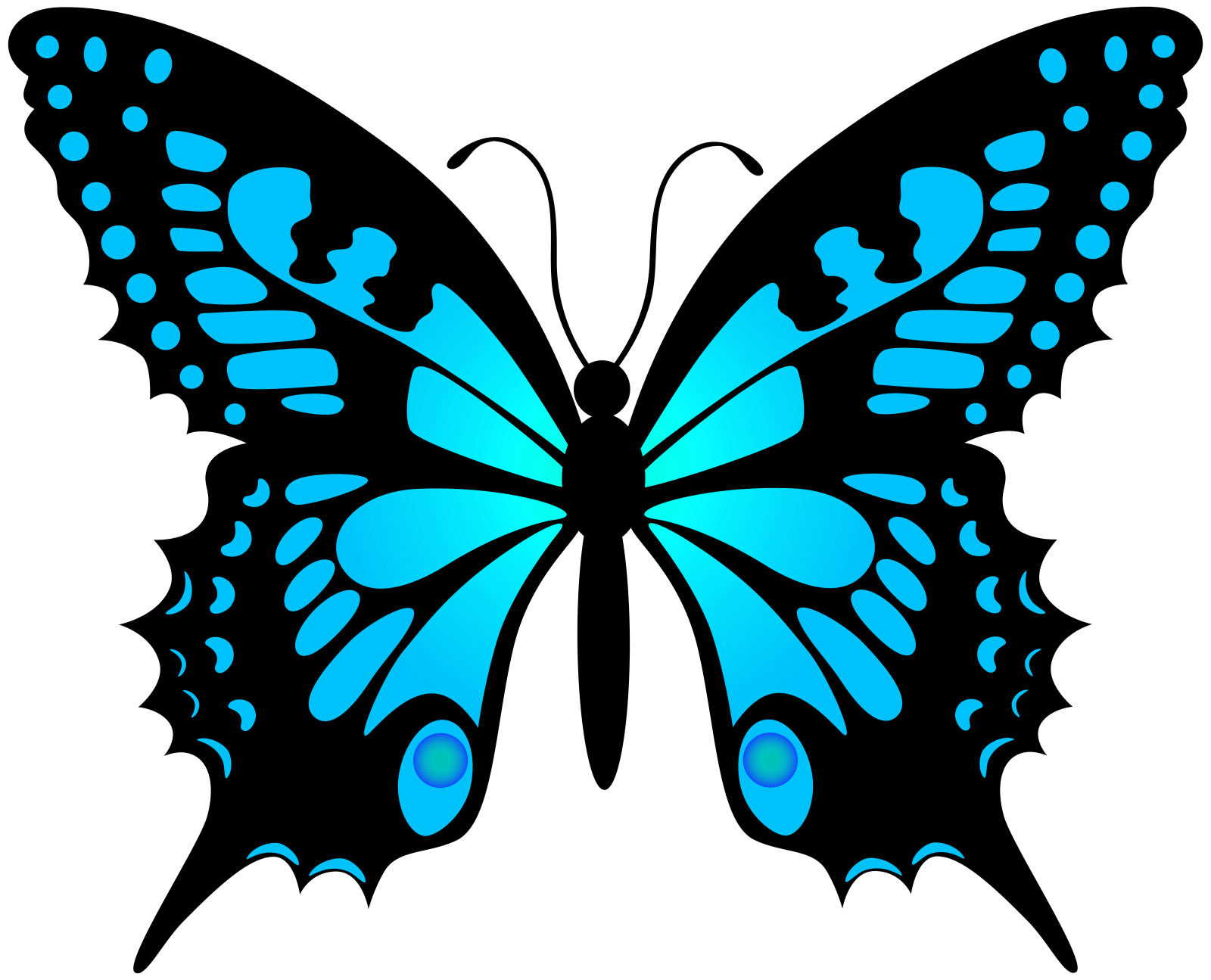 a blue butterfly on a white background