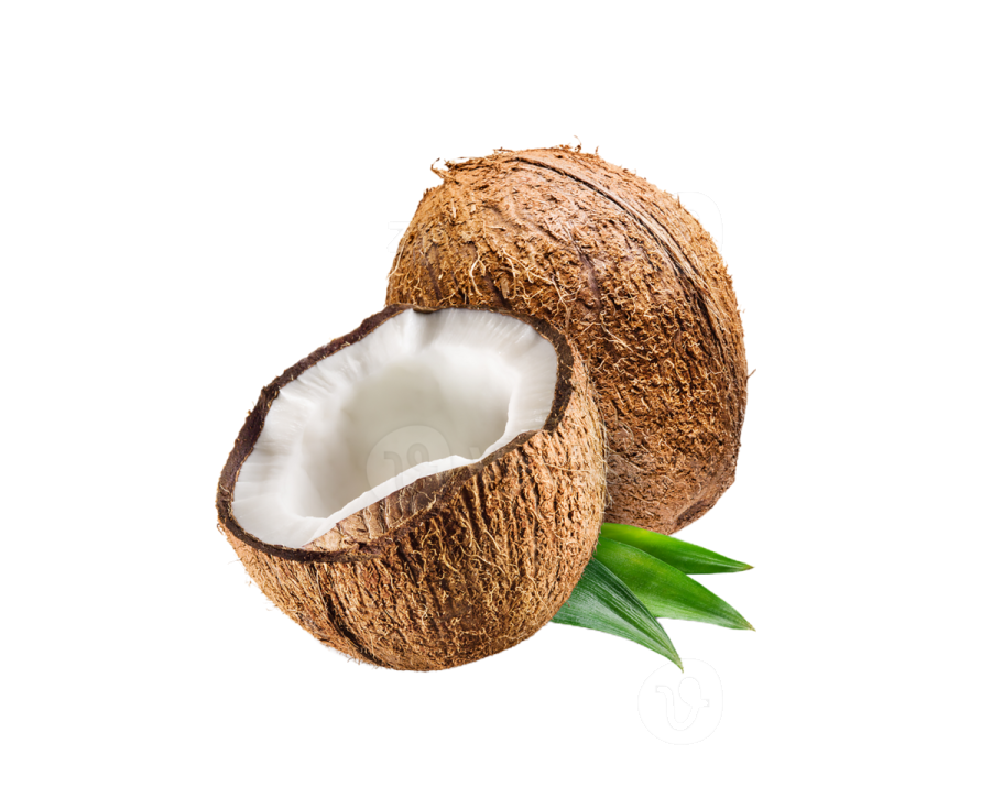 a coconut with a green leaf on it