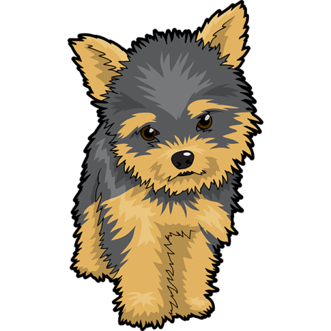 a small dog with brown and black hair