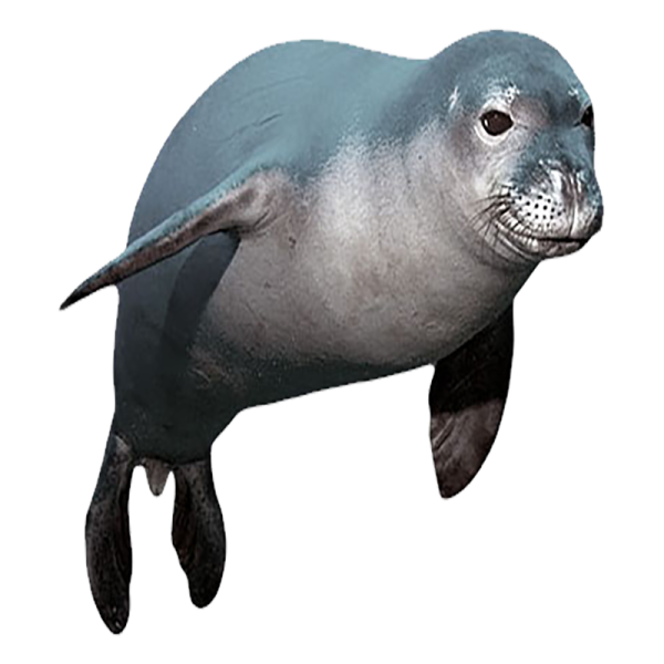 an image of a seal on a white background