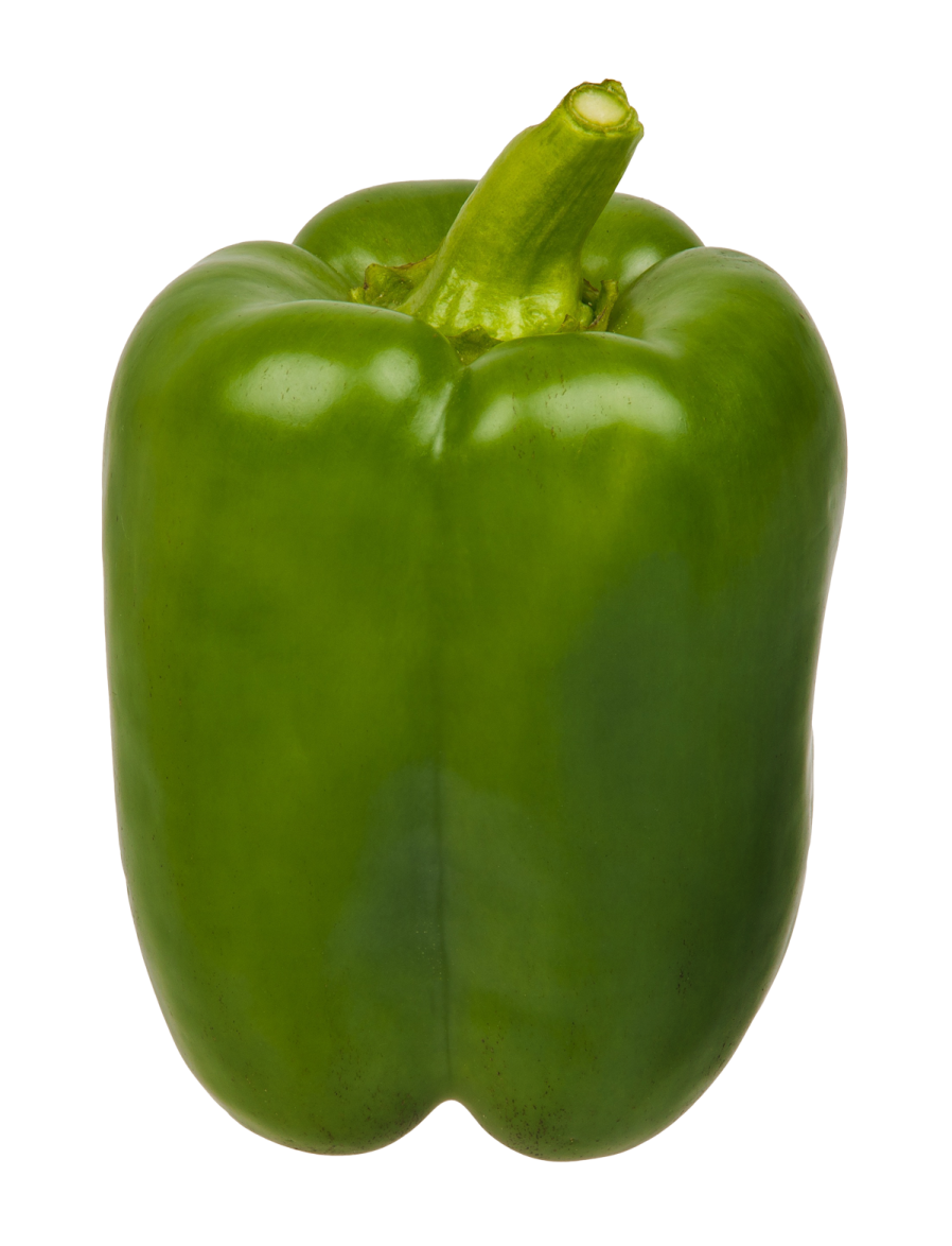 a green pepper on a white background