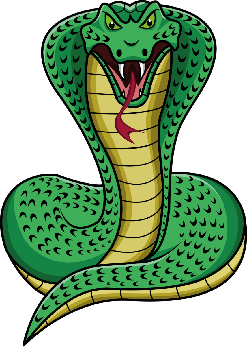 a green snake with its mouth open