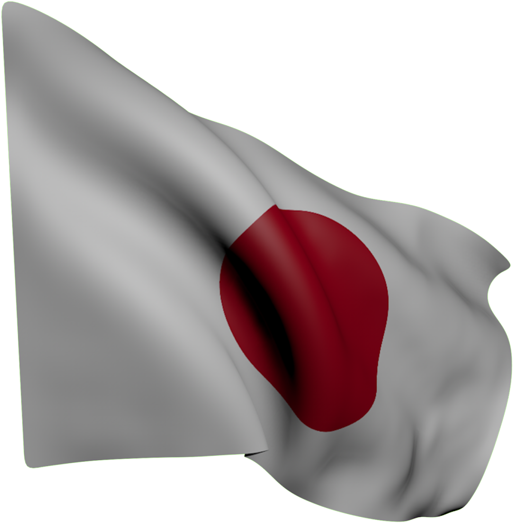a gray and red flag