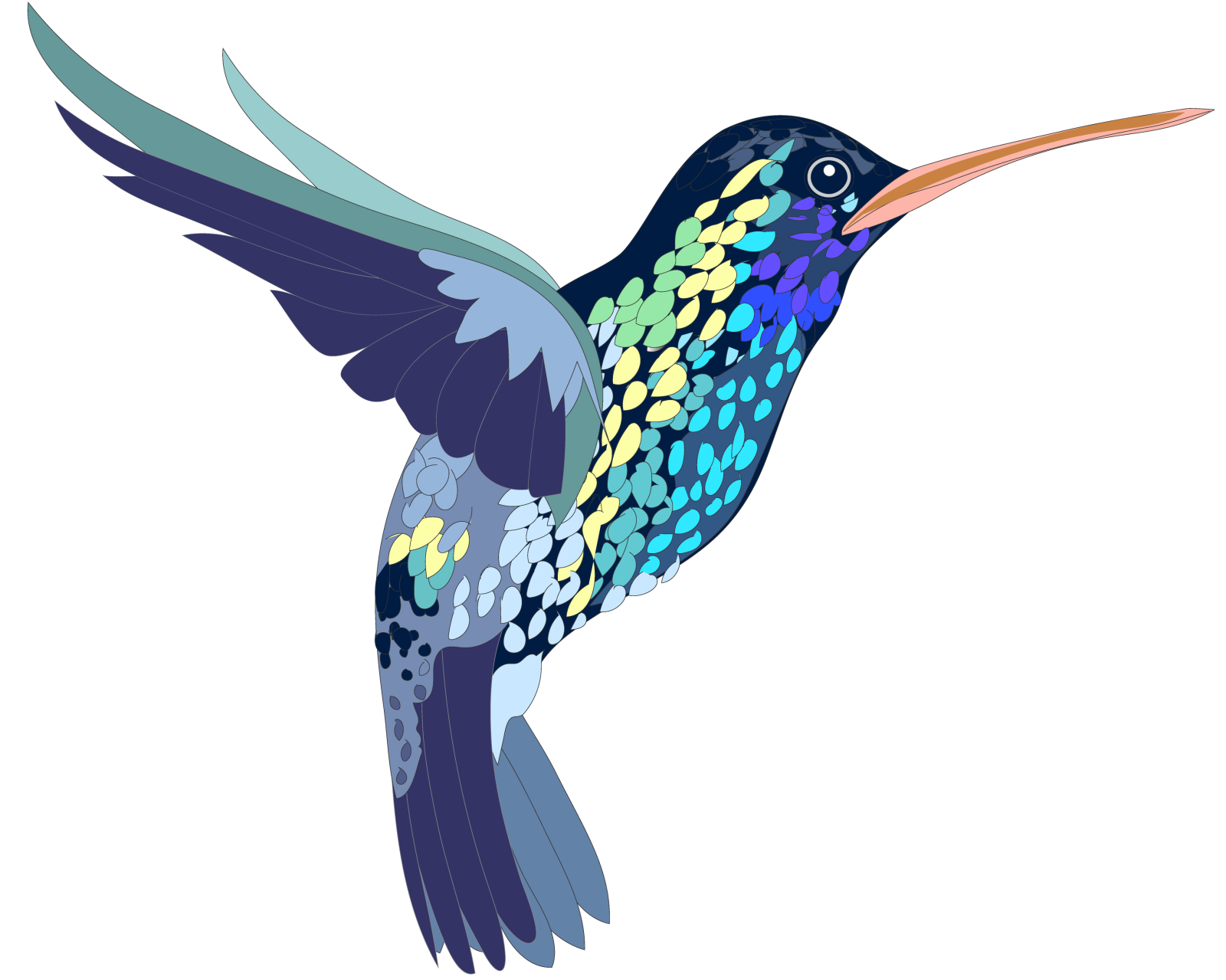 a colorful humming bird flying in the air