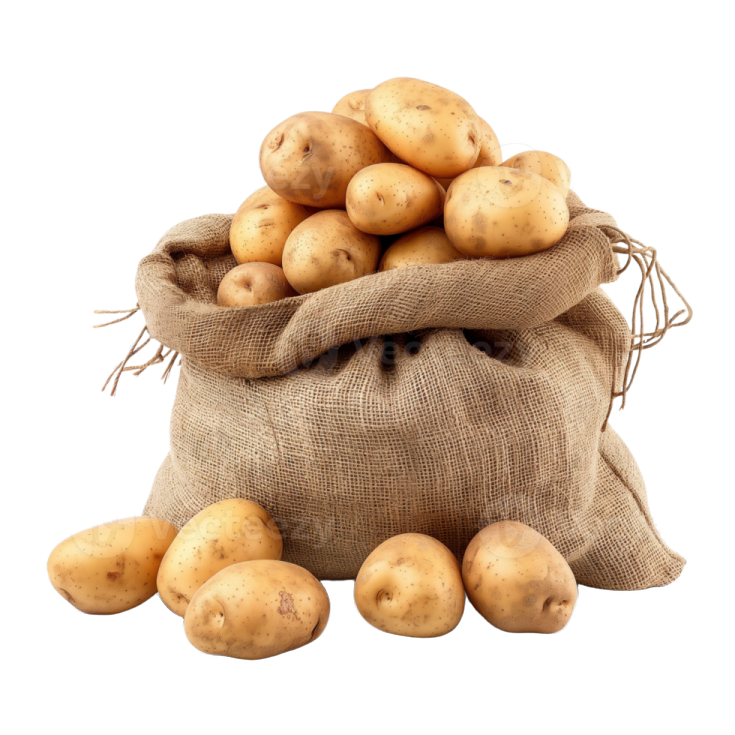 potatoes in a sack