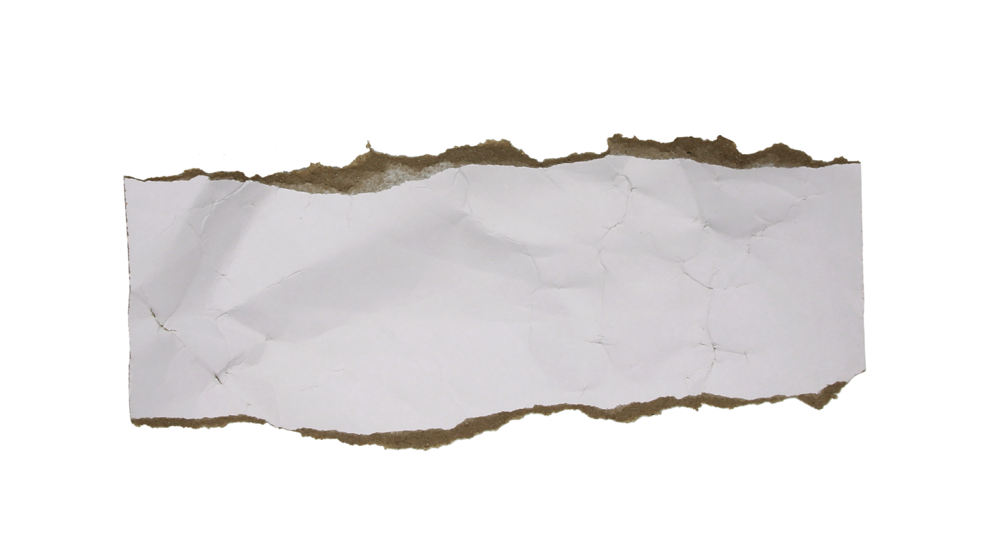 a piece of torn paper on a white background