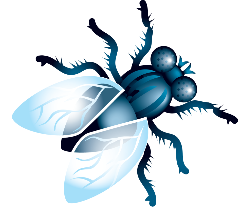 a blue and black insect on white background
