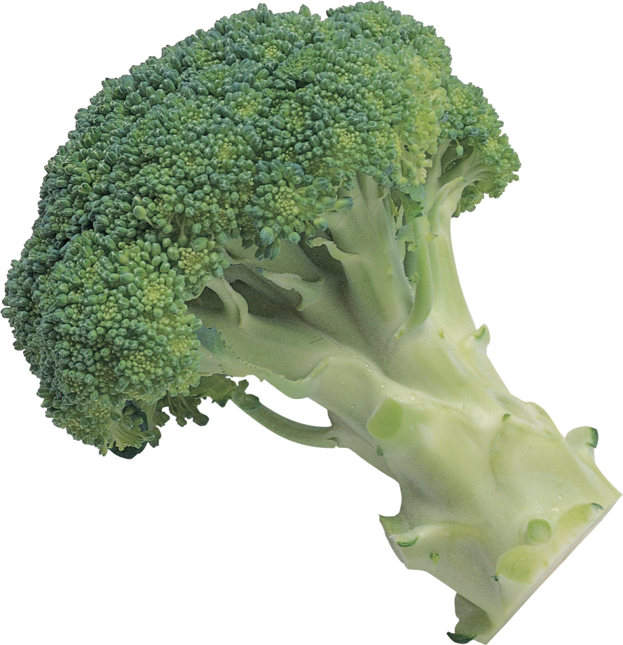 a close up of a piece of broccote