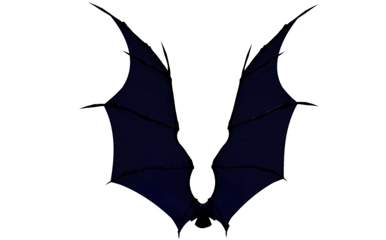 a pair of bats on a white background