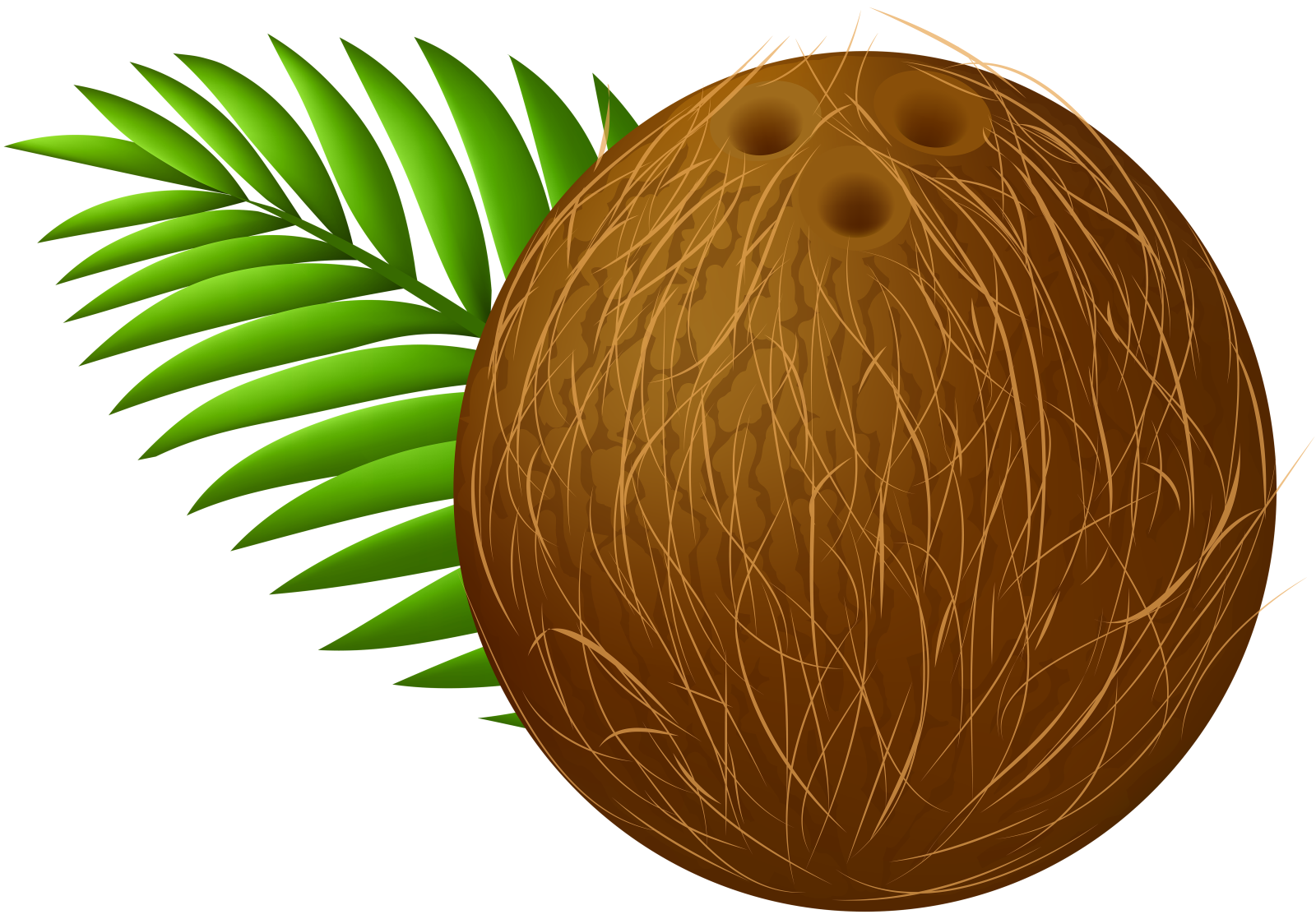 a coconut with green leaves on it